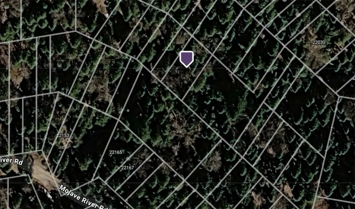 0 Mojave River, Cedarpines Park, CA 92322 - #1