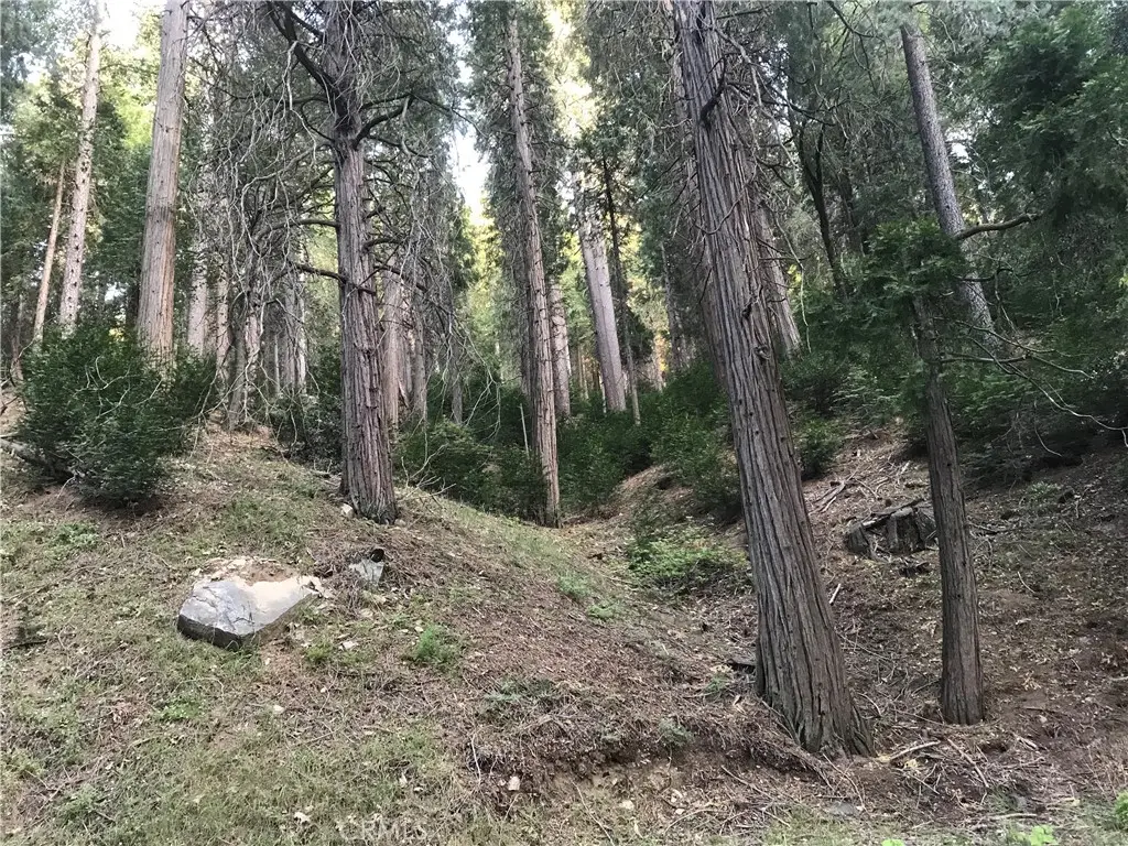 0 Mojave River, Cedarpines Park, CA 92322 - #1