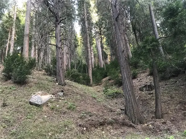 0 Mojave River, Cedarpines Park, CA 92322