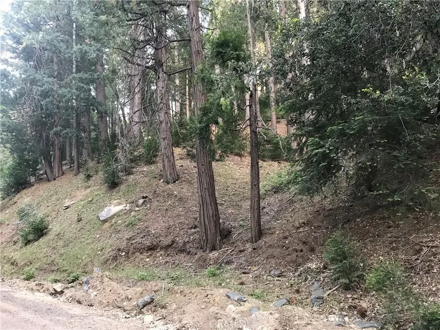 0 Mojave River, Cedarpines Park, CA 92322 - #2