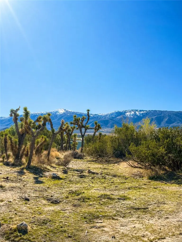 155 Del Rosa, Pinon Hills, CA 92372 - #2
