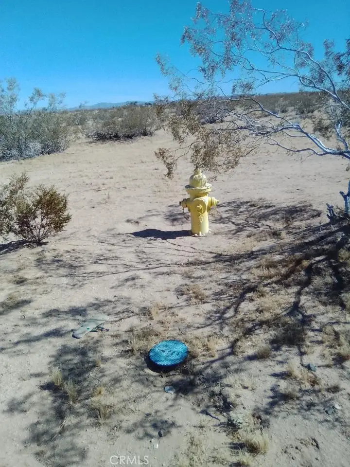 60784 Summers, Landers, CA 92285 - #3