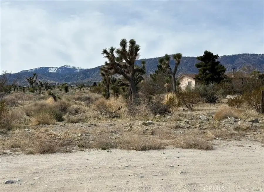 0 Mono Road, Pinon Hills, CA 92372 - #3