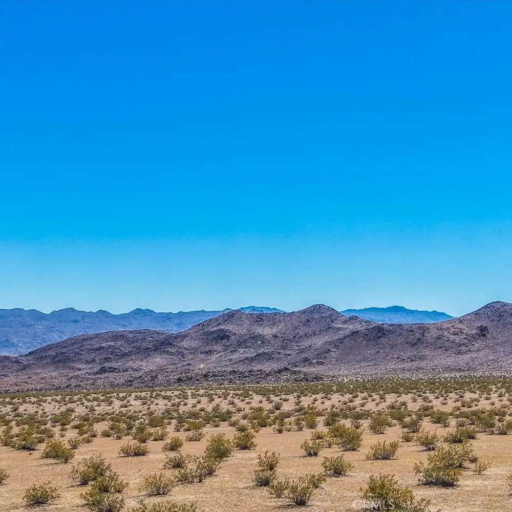 54 Fascination Avenue, Joshua Tree, CA 92252 - #1