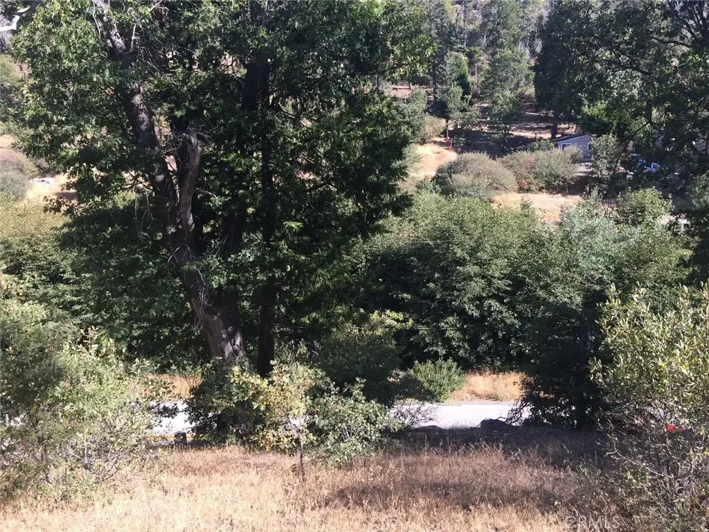 29749 Redwood, Cedar Glen, CA 92321 - #1