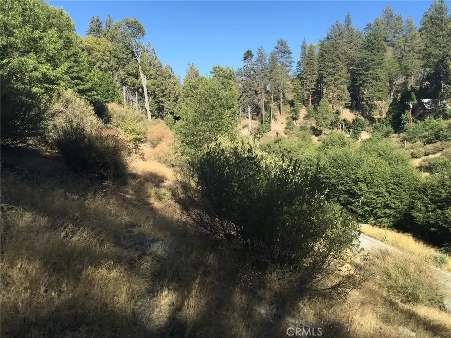 29749 Redwood, Cedar Glen, CA 92321 - #2