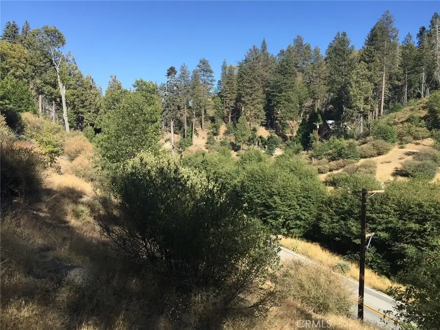 29751 Redwood, Cedar Glen, CA 92321 - #3