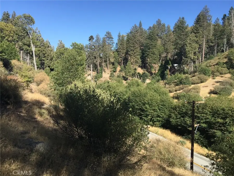 29776 Hook Creek, Cedar Glen, CA 92321 - #3