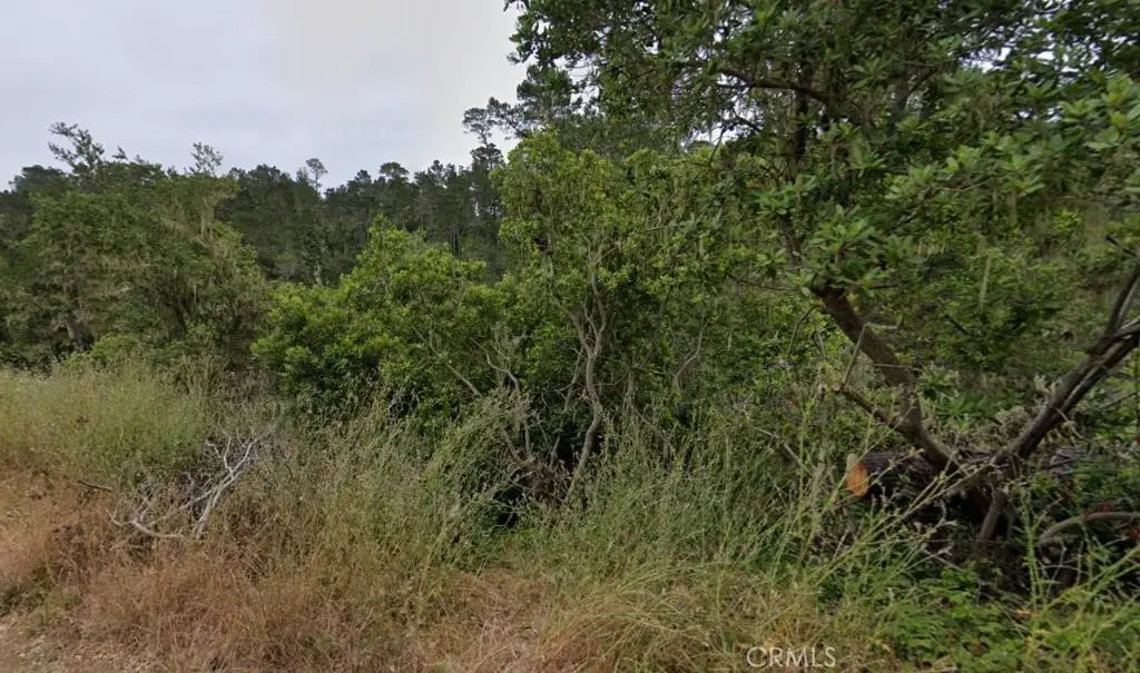 2977 Ramsey Road, Cambria, CA 93428 - #1