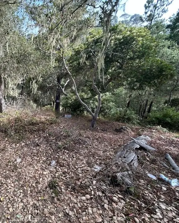 2977 Ramsey Road, Cambria, CA 93428 - #3
