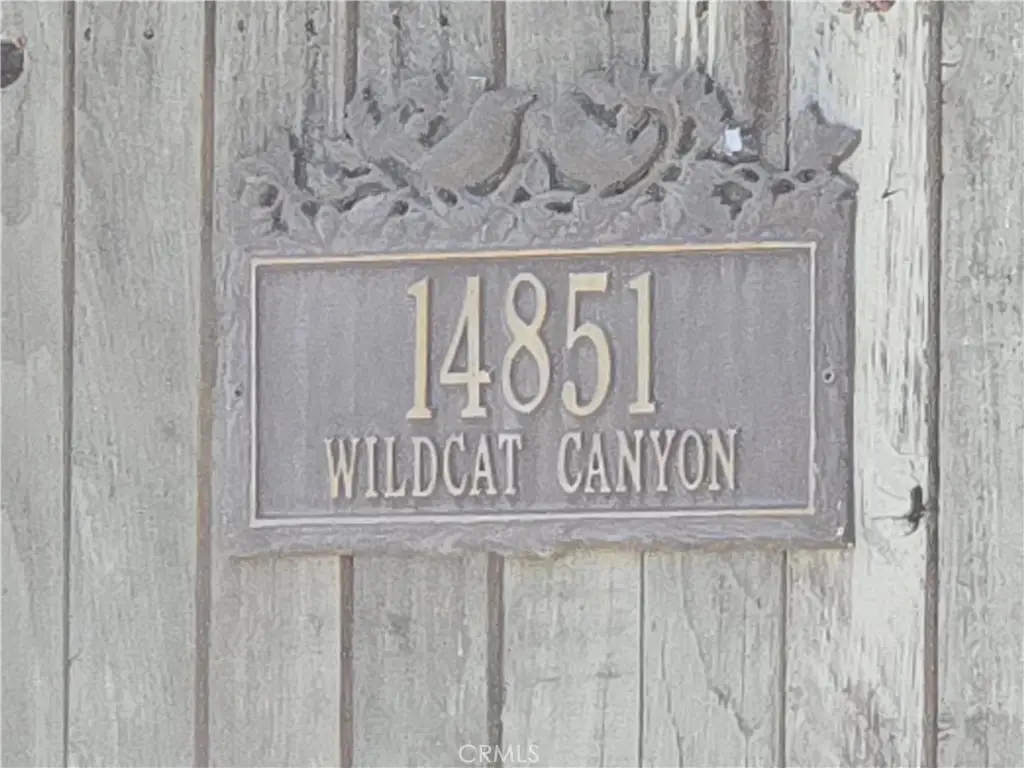 14851 Wildcat Canyon Road, Silverado, CA 92676 - #1
