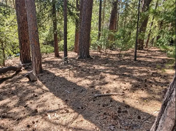 131 Golf Course Road, Lake Arrowhead, CA 92352