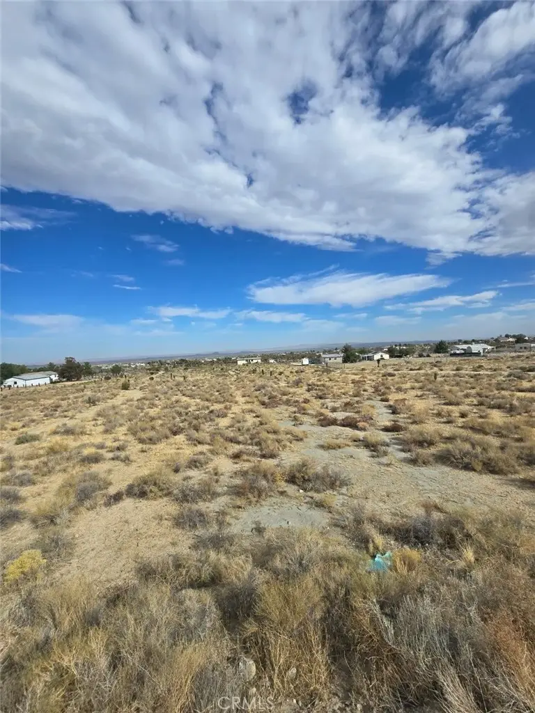 0 Calaveras, Pinon Hills, CA 92372 - #2