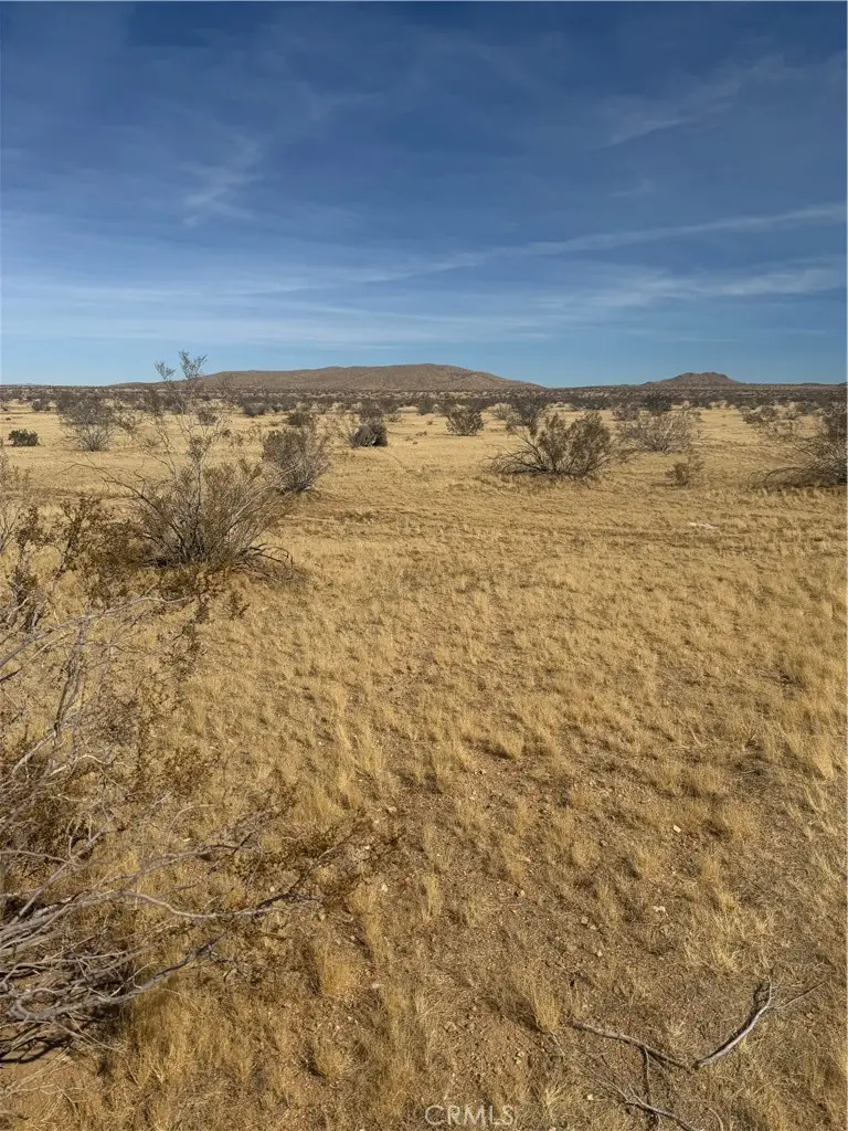 0 Chambray Street, Oro Grande, CA 92368 - #1
