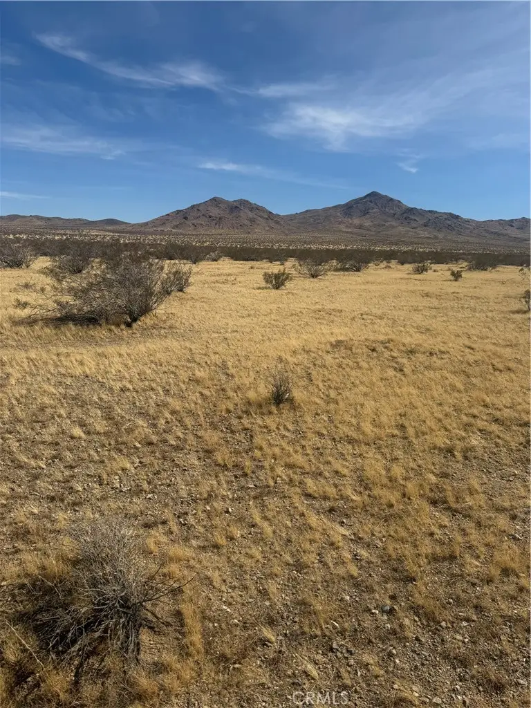 0 Chiffon Street, Oro Grande, CA 92368 - #1