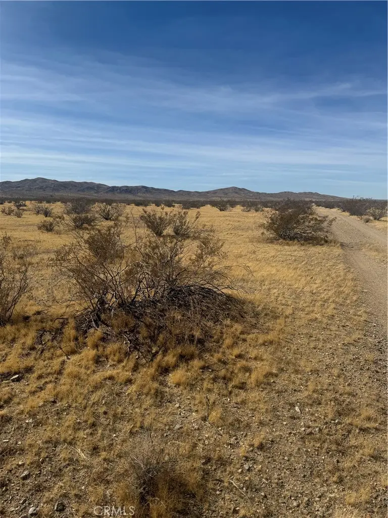 0 Chiffon Street, Oro Grande, CA 92368 - #3