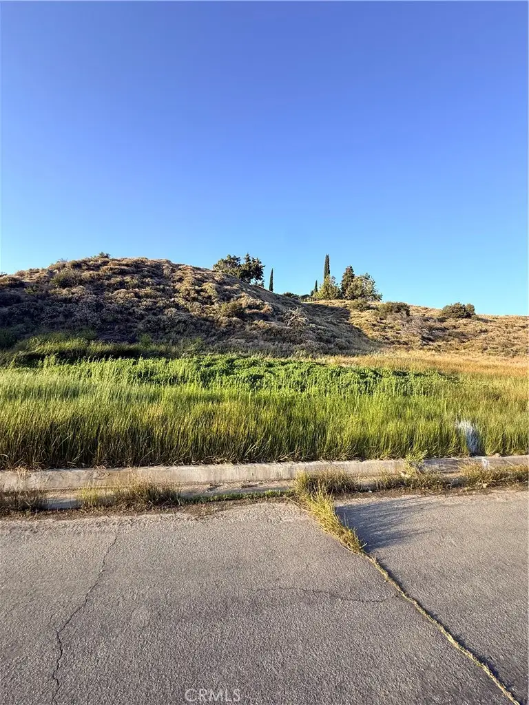 0 Kiptree, Elizabeth Lake, CA 93532 - #1