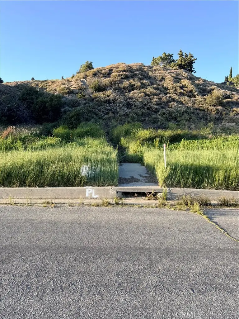 0 Kiptree, Elizabeth Lake, CA 93532 - #3