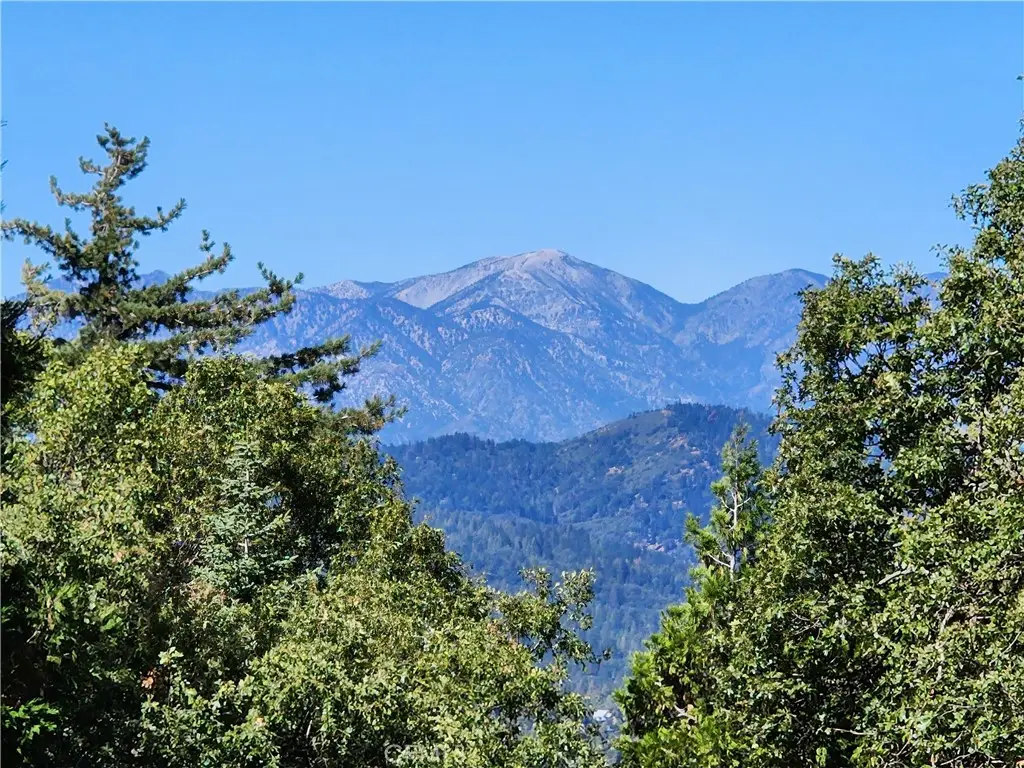 0 North Road, Twin Peaks, CA 92391 - #1