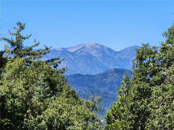 0 North Road, Twin Peaks, CA 92391