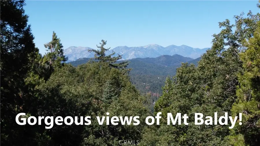 0 North Road, Twin Peaks, CA 92391 - #3