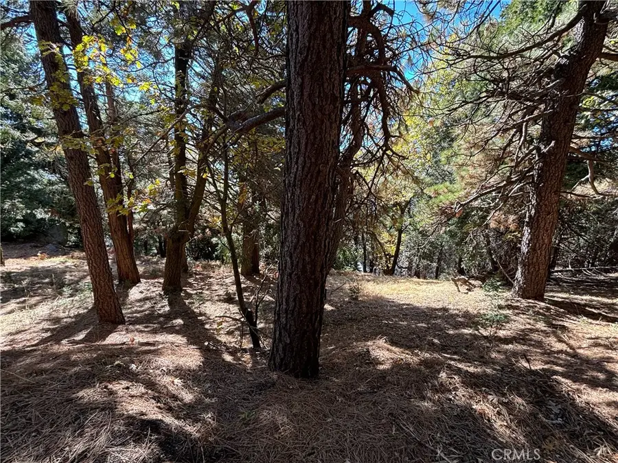 0 Peak Circle, Cedarpines Park, CA 92322 - Image #2