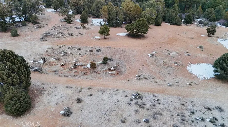 0 Pine Lane, Big Bear City, CA 92314 - #2