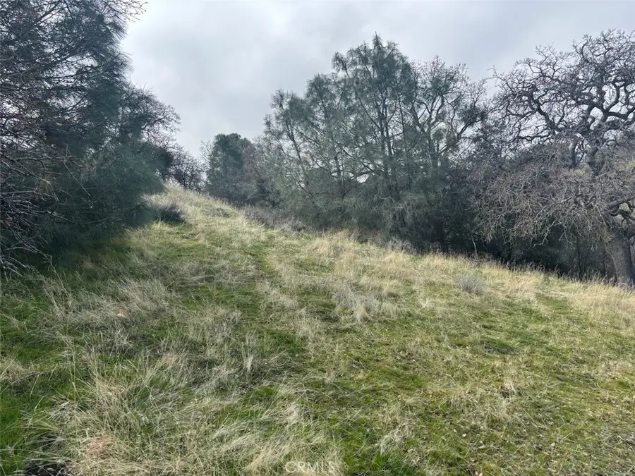 0 Hart Oaks Dr, Keene, CA 93531 - Image #3