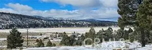 0 Ponderosa Ranch Road, Big Bear City, CA 92314