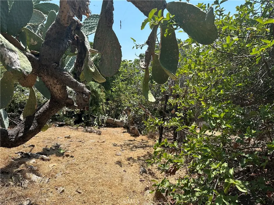 1941 Delta St., Los Angeles, CA 90026 - Image #2
