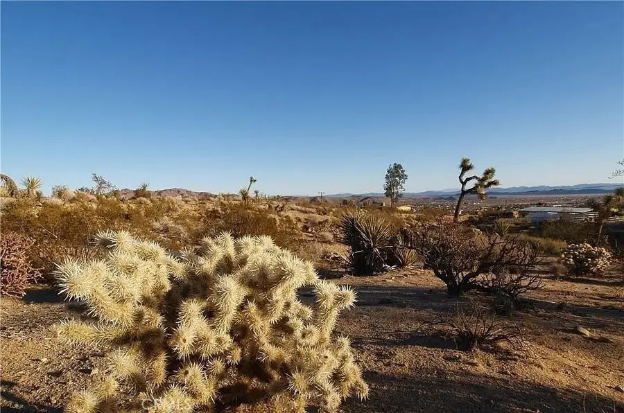 7275 Saddleback, Joshua Tree, CA 92252 - #3