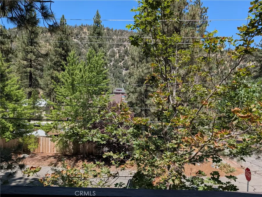 1587 Ross, Wrightwood, CA 92397 - #3