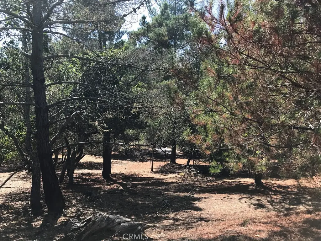 0 Tully Place, Cambria, CA 93428 - #1