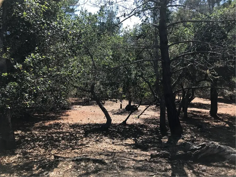 0 Tully Place, Cambria, CA 93428 - #2