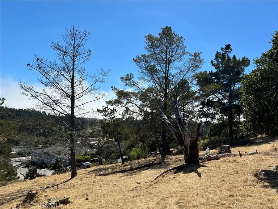 4925 Grove Street, Cambria, CA 93428 - #2