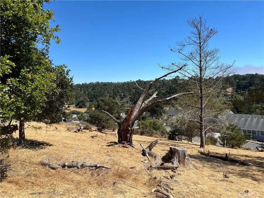 4925 Grove Street, Cambria, CA 93428 - #3