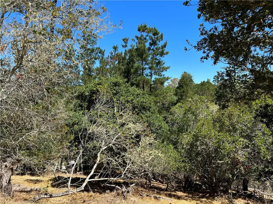 0 Melrose Avenue, Cambria, CA 93428 - Image #3