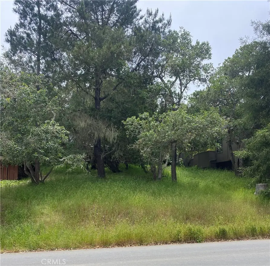 0 Ardath Drive, Cambria, CA 93428 - #1