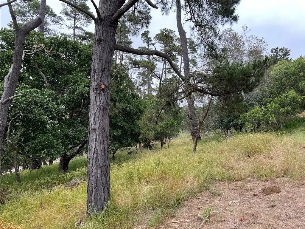 0 Norton Lane, Cambria, CA 93428 - #1