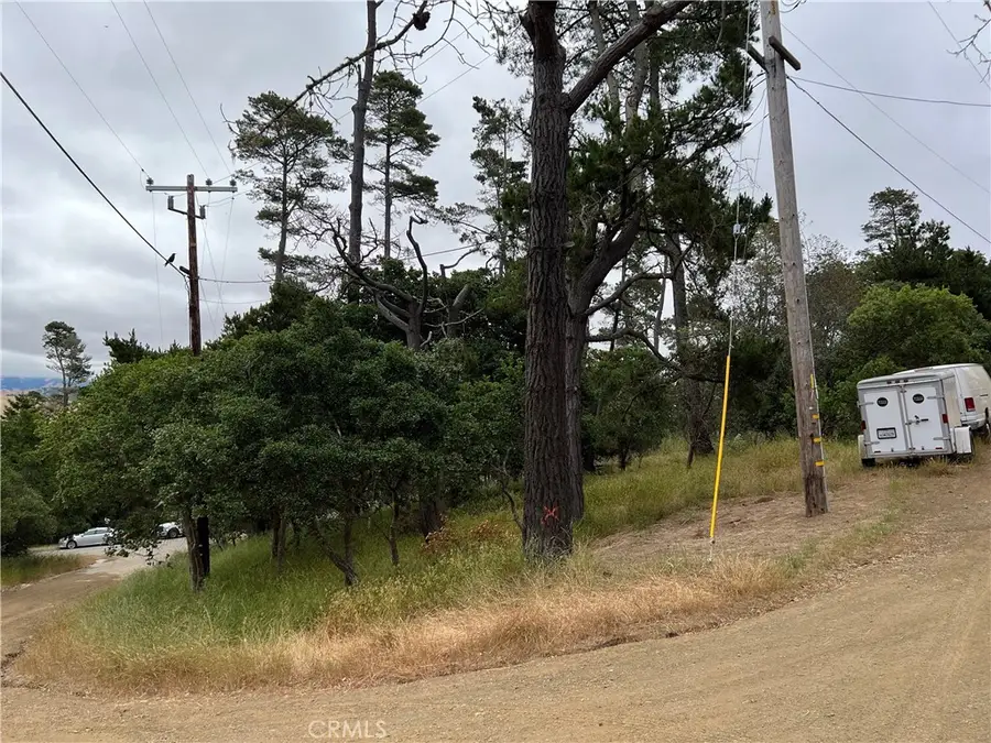 0 Norton Lane, Cambria, CA 93428 - #2