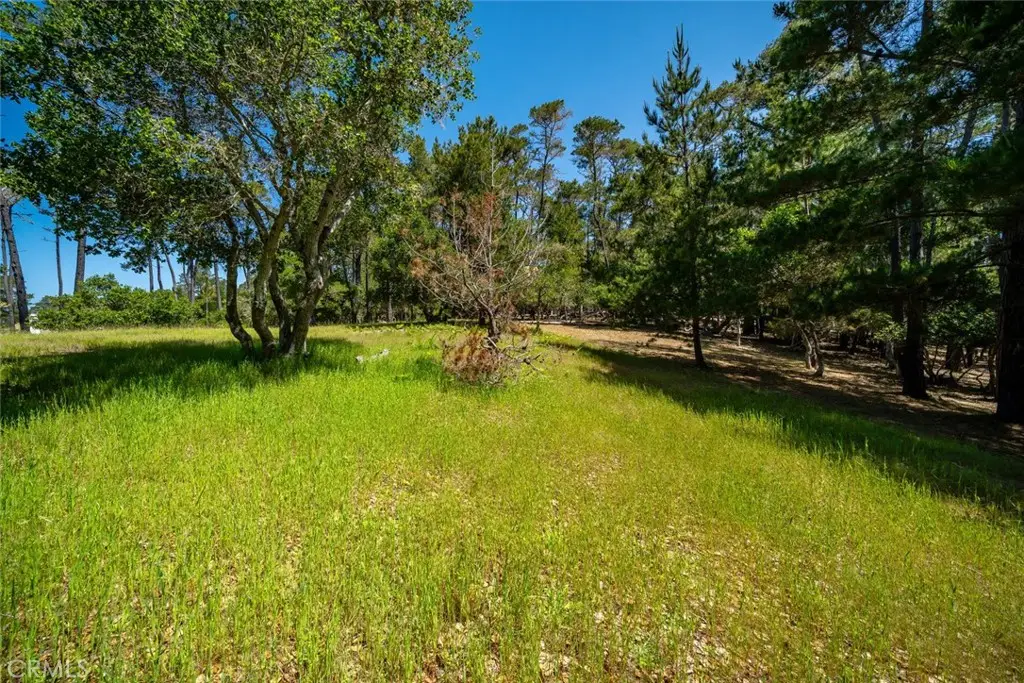 6475 Kathryn Drive, Cambria, CA 93428 - #1