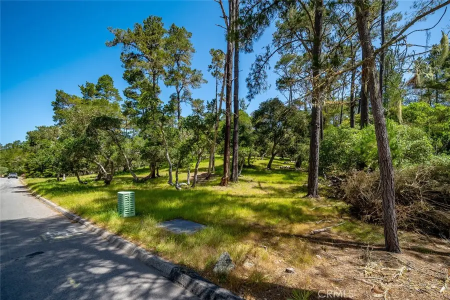 6475 Kathryn Drive, Cambria, CA 93428 - #3