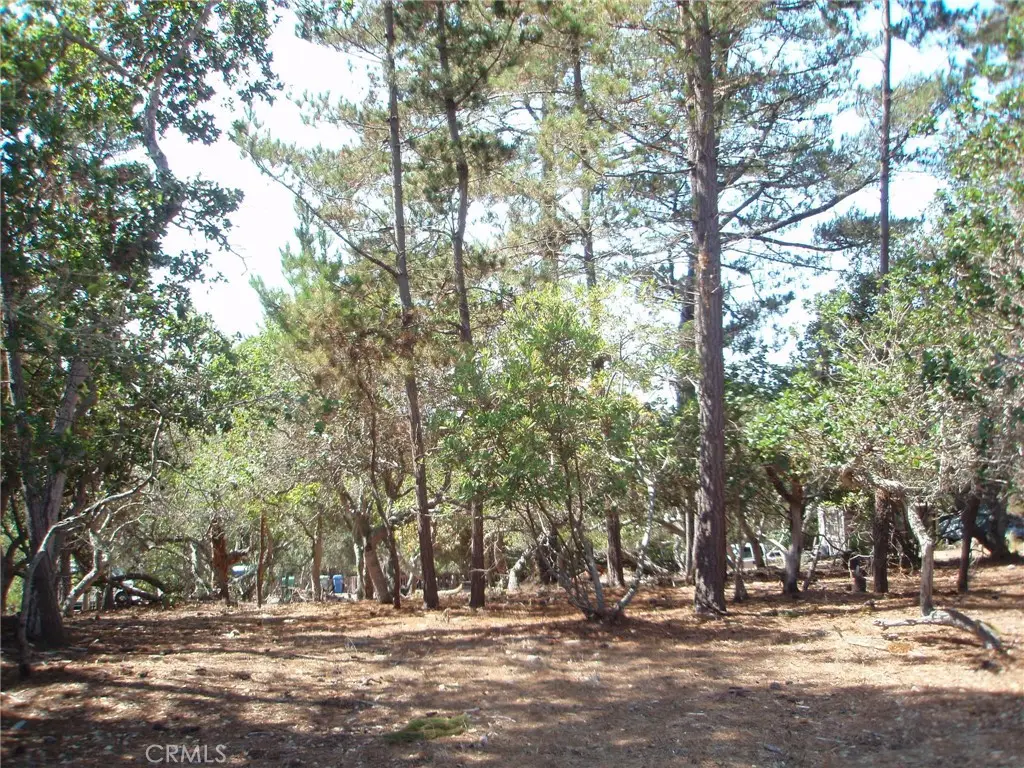 1865 Dreydon Avenue, Cambria, CA 93428 - #1