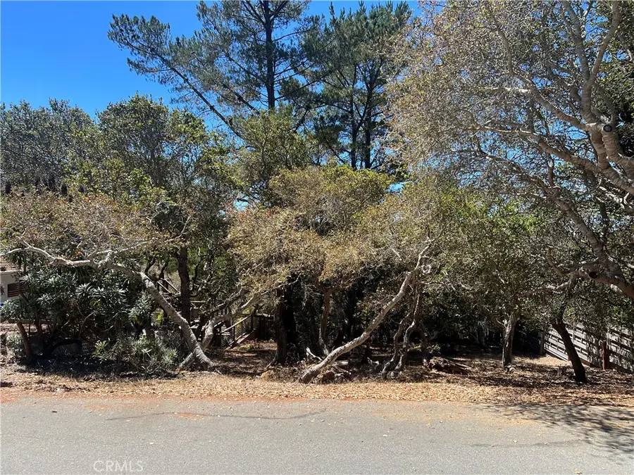 1845 Norwich Avenue, Cambria, CA 93428 - #2