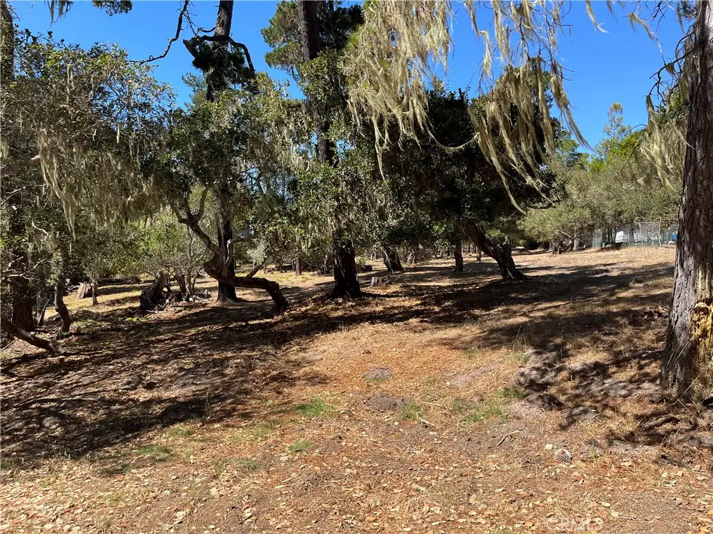 34 Kenneth, Cambria, CA 93428 - #1