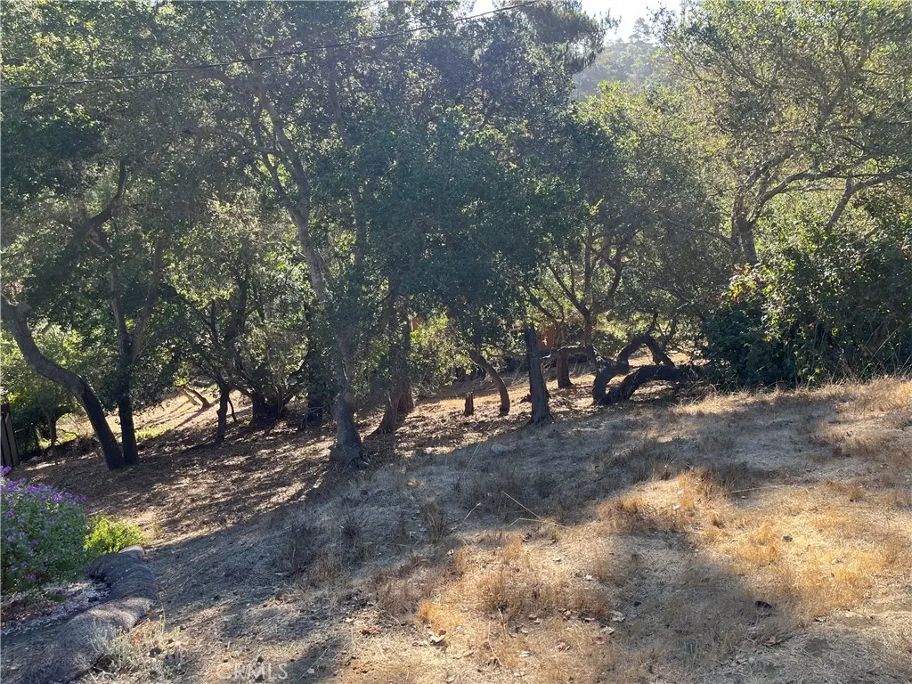 17 Bradford Road, Cambria, CA 93428 - #1
