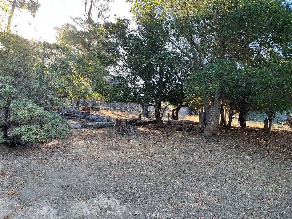 1670 Burton Drive, Cambria, CA 93428 - #1