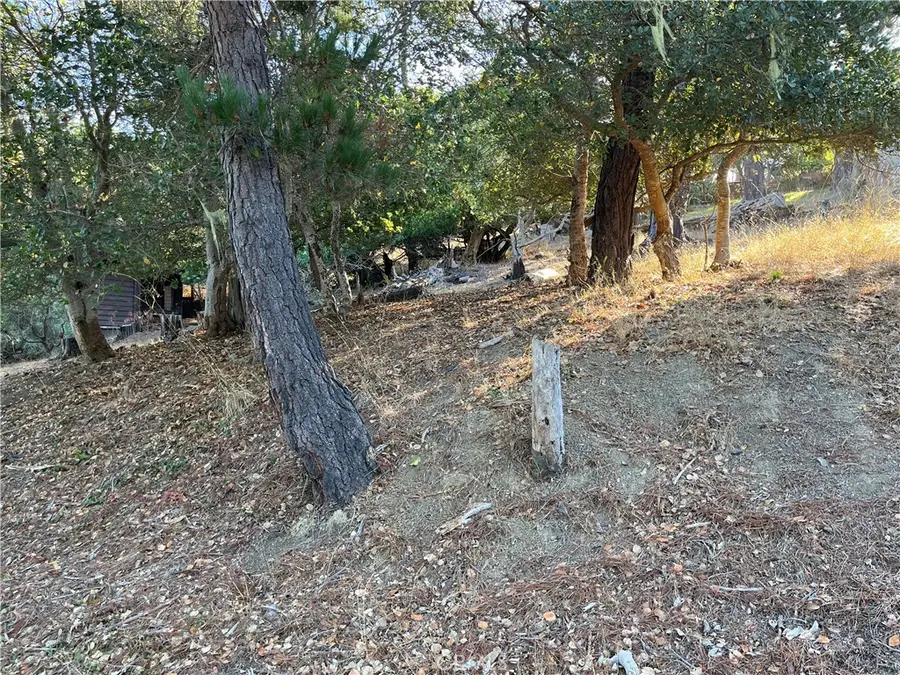 1670 Burton Drive, Cambria, CA 93428 - #2