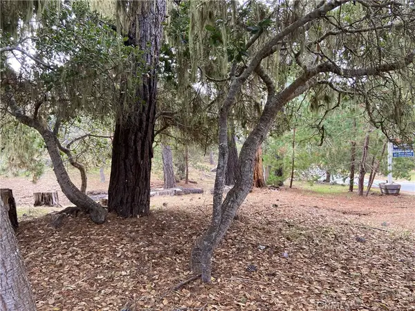 0 Kenneth Drive, Cambria, CA 93428