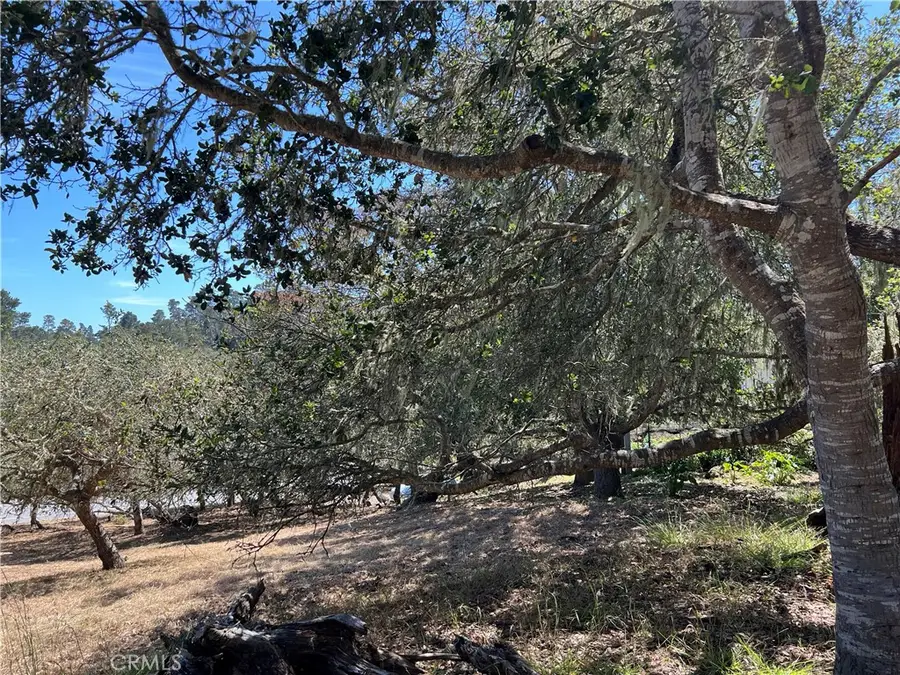 0 Pierce Avenue, Cambria, CA 93428 - #3